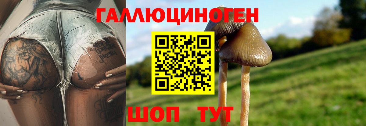 Ступино  Галлюциногенные грибы Magic Shrooms  Вход с VPN 